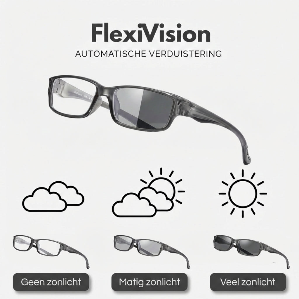 FlexiVision | Active